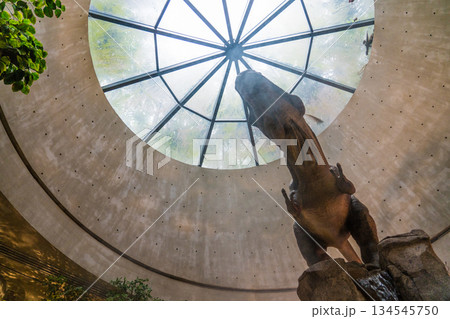 Jurassic Nest FoodHall 134545750