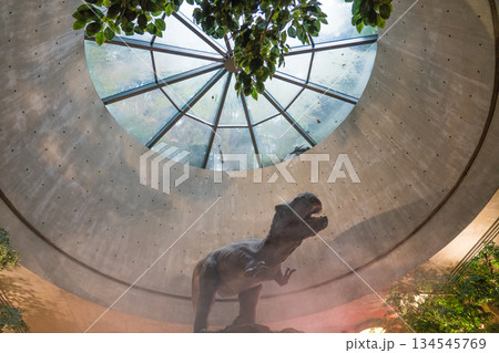 Jurassic Nest FoodHall 134545769