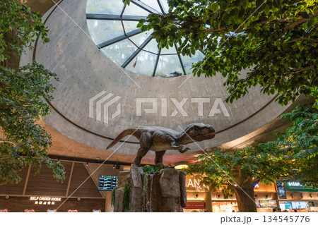 Jurassic Nest FoodHall Jurassic Nest FoodHall 134545776