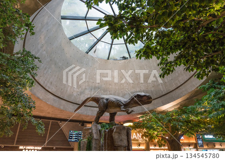 Jurassic Nest FoodHall Jurassic Nest FoodHall 134545780