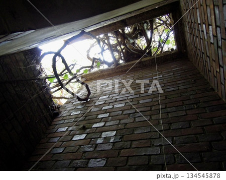 和歌山県友ヶ島の戦跡と旧日本軍要塞跡と砲台跡 134545878