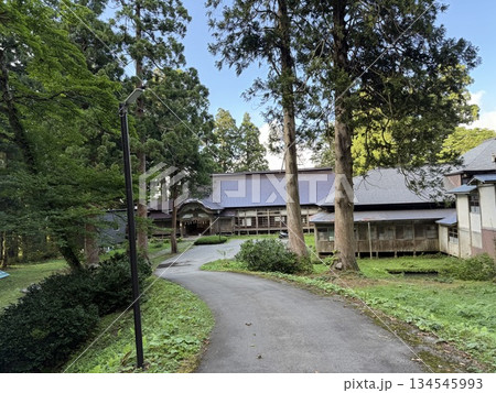 杉並木に囲まれた羽黒山の石段 134545993