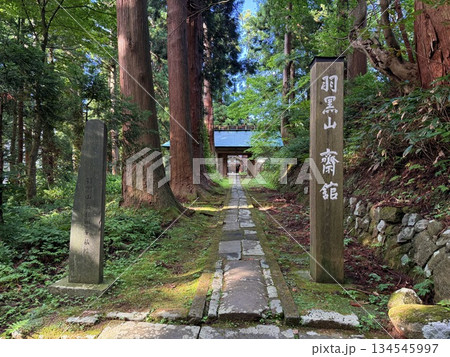 杉並木に囲まれた羽黒山の石段 杉並木に囲まれた羽黒山の石段 134545997