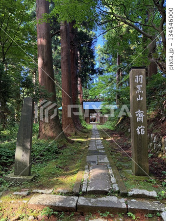 杉並木に囲まれた羽黒山の石段 134546000