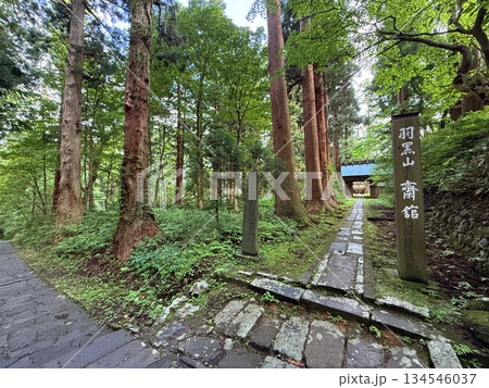 杉並木に囲まれた羽黒山の石段 杉並木に囲まれた羽黒山の石段 134546037