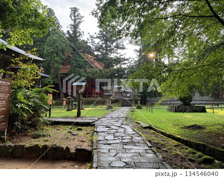 杉並木に囲まれた羽黒山の石段 134546040