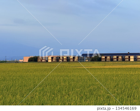 山形県庄内のレストランで味わう地元食材の料理 134546169