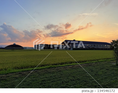 山形県庄内のレストランで味わう地元食材の料理 山形県庄内のレストランで味わう地元食材の料理 134546172