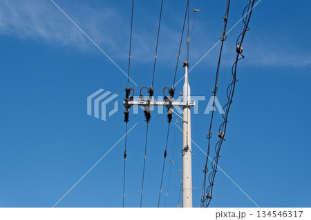 農道の電柱・電線に施された鳥害対策：停電を防ぐための鳥よけ針（バードピン）設置状況の記録その3 134546317