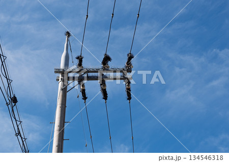 農道の電柱・電線に施された鳥害対策：停電を防ぐための鳥よけ針（バードピン）設置状況の記録その2 134546318