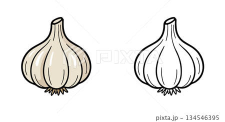 シンプルなにんにくのアイコンイラスト 134546395