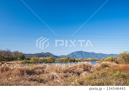 桂川冬景色 京都市 桂川冬景色 京都市 134546441