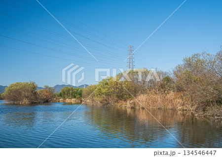 桂川水辺の風景 京都市 桂川水辺の風景 京都市 134546447