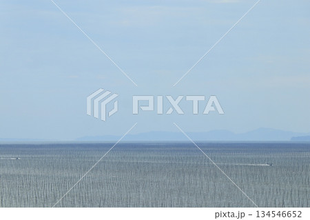 海苔ヒビの間を漁船が走る有明海の海苔養殖場の景色 海苔ヒビの間を漁船が走る有明海の海苔養殖場の景色 134546652