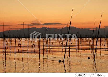 有明海の海苔養殖場のオレンジ色に染まった美しい風景 有明海の海苔養殖場のオレンジ色に染まった美しい風景 134546657