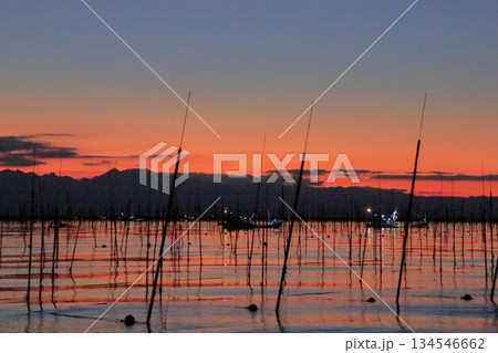 夕焼けに染まる有明海の海苔養殖場での作業風景 134546662