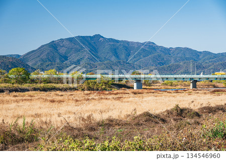 冬枯れの桂川河川敷風景　京都市 134546960