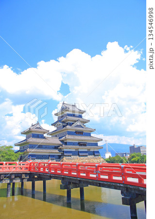 長野県松本市、国宝松本城の風景 134546998