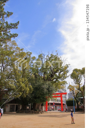 神戸の名の由来　神戸市長田区　長田神社 134547198