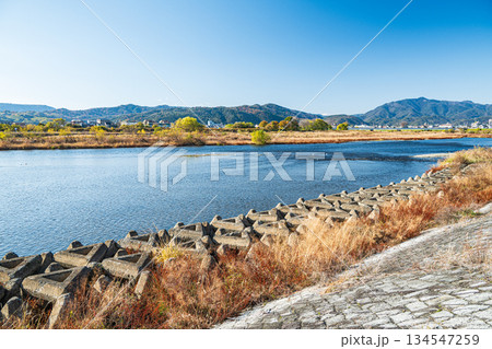 冬の桂川風景　京都市 134547259