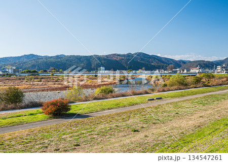 冬の桂川河川公園　京都市 134547261