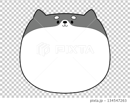 可愛的黑白柴犬相框 可愛的黑白柴犬相框 134547263