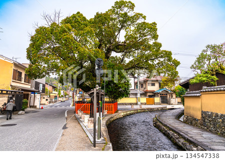 【重要伝統的建造物群保存地区】上賀茂 藤木神社と春の風景4 京都府京都市北区 【重要伝統的建造物群保存地区】上賀茂 藤木神社と春の風景4 京都府京都市北区 134547338