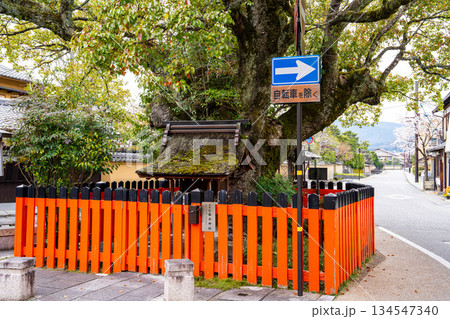 【重要伝統的建造物群保存地区】上賀茂　藤木神社と春の風景3　京都府京都市北区 134547340