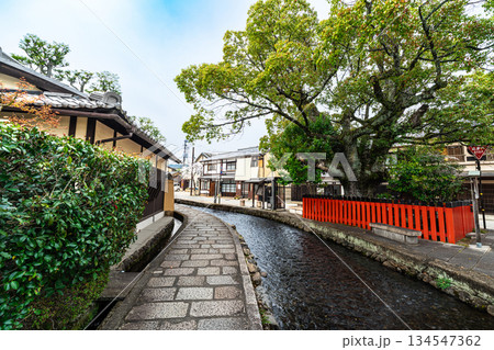 【重要伝統的建造物群保存地区】上賀茂　藤木神社と春の風景2　京都府京都市北区 134547362
