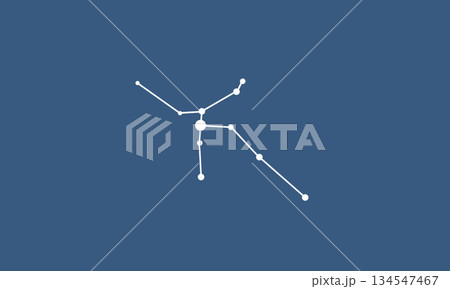 ネイビー色の背景に浮かぶわし座の星座線(白色)のイラスト ネイビー色の背景に浮かぶわし座の星座線(白色)のイラスト 134547467