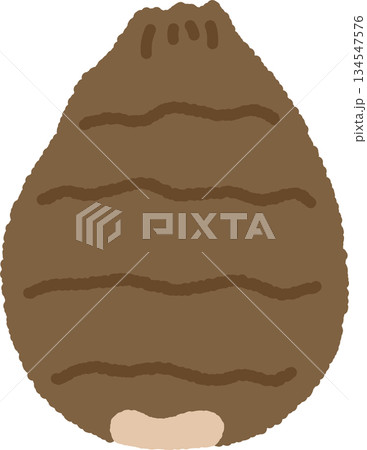 手書き風の単品アイコンイラスト 野菜 里芋 手書き風の単品アイコンイラスト 野菜 里芋 134547576