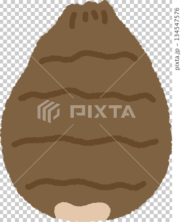 手書き風の単品アイコンイラスト 野菜 里芋 手書き風の単品アイコンイラスト 野菜 里芋 134547576