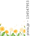 手描きのタンポポの背景イラスト 134547953