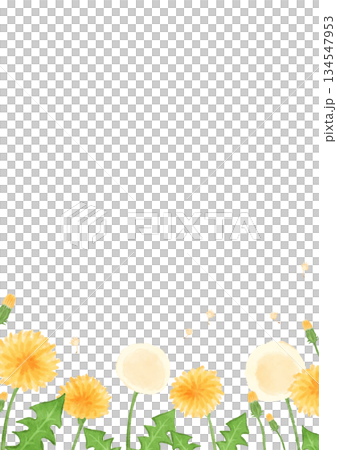Hand drawn dandelion vector illustration 134547953
