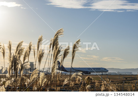 夕暮れの仙台空港 タキシング中の飛行機 宮城県名取市 夕暮れの仙台空港 タキシング中の飛行機 宮城県名取市 134548014