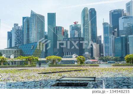 シンガポール 都市風景 シンガポール 都市風景 134548255