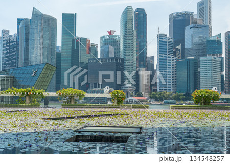 シンガポール 都市風景 シンガポール 都市風景 134548257