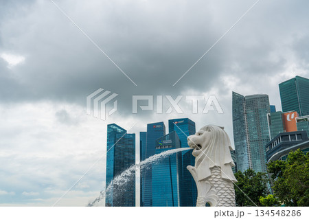 シンガポール 都市風景 シンガポール 都市風景 134548286