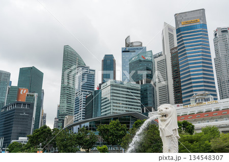 シンガポール 都市風景 シンガポール 都市風景 134548307