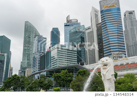 シンガポール 都市風景 シンガポール 都市風景 134548314