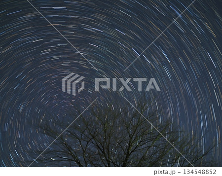 12月の桜の木と星の軌跡(20251218043356) 12月の桜の木と星の軌跡(20251218043356) 134548852