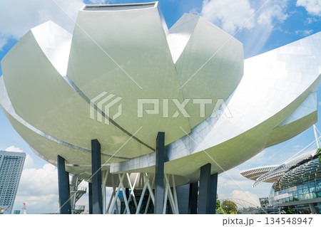 マリーナベイサンズ 134548947