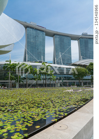 マリーナベイサンズ 134548966