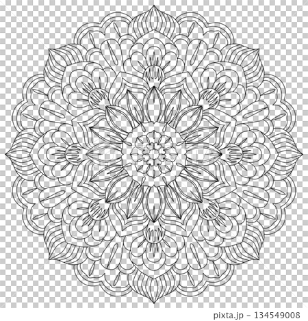 Intricate circular floral mandala line art for adult coloring and stress relief 134549008