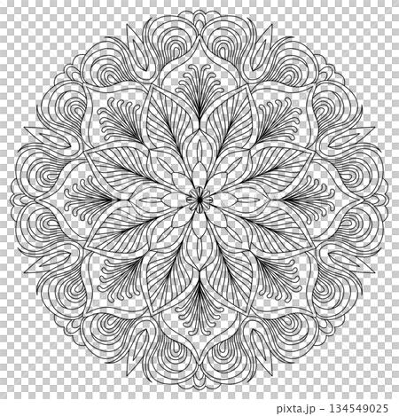 Intricate detailed floral mandala with feather patterns for adult coloring page and zen meditation Intricate detailed floral mandala with feather patterns for adult coloring page and zen meditation 134549025