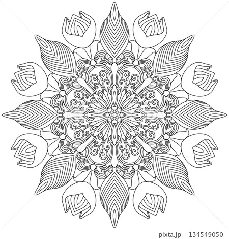 Intricate tulip flower and swirl vine mandala line art for adult coloring page and zen meditation 134549050