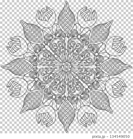 Intricate tulip flower and swirl vine mandala line art for adult coloring page and zen meditation Intricate tulip flower and swirl vine mandala line art for adult coloring page and zen meditation 134549050