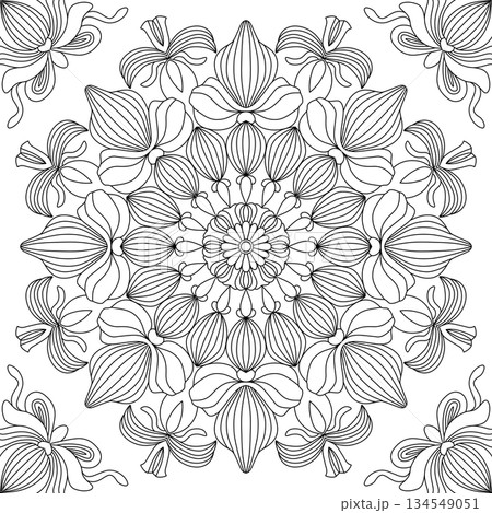 Elegant orchid floral mandala pattern for adult coloring page and zen meditation relaxation Elegant orchid floral mandala pattern for adult coloring page and zen meditation relaxation 134549051