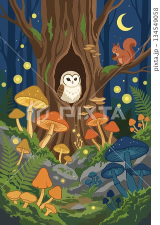Enchanted forest scene with owl and squirrel at night 134549058