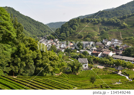 A Chinese village beyong the Longjing tea terraces in Hangzhou 134549246